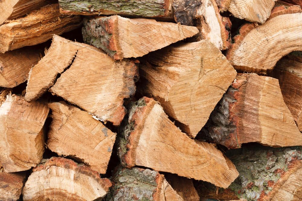 chopped oak firewood sitting in woodpile