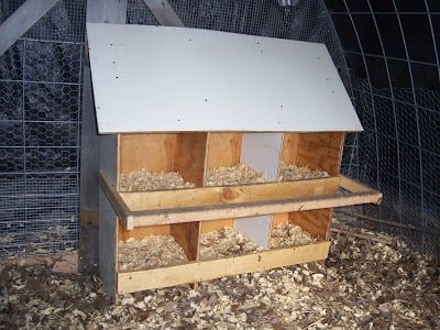 diy backyard chicken nesting box