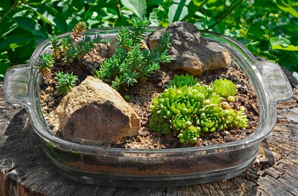 miniature rockery with trees rocks and bushes