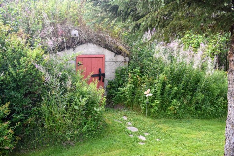 How to Build a Root Cellar Cheap [But Effective]