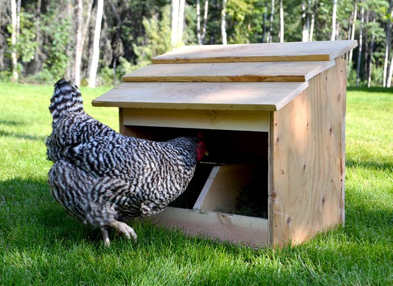 rustic wooden chicken nesting box