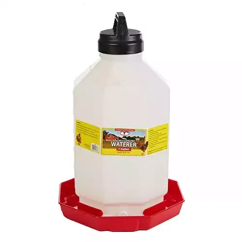 7 Gallon Hanging Automatic Poultry Waterer | Little Giant