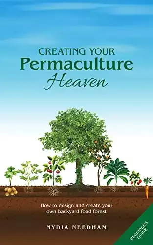 Creating Your Permaculture Heaven: How to Design Your Backyard Food Forest
