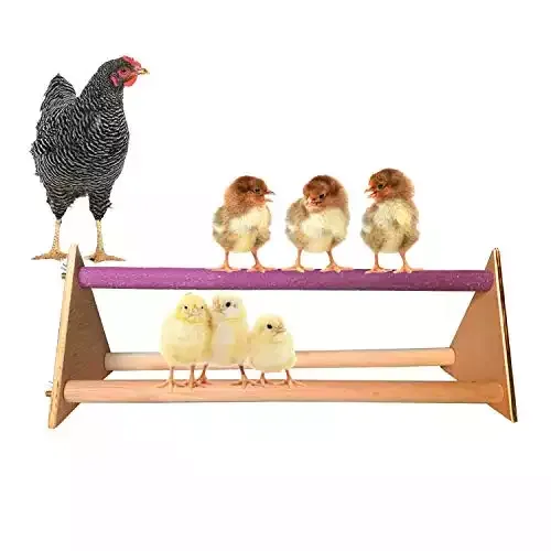 Handmade Chicken Swing Bird Perch Stand