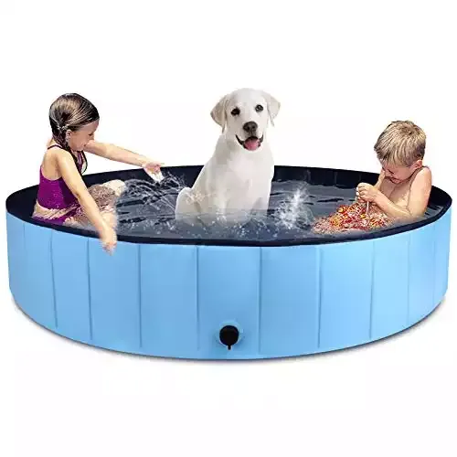 Foldable Dog Pool and Pet Bathtub | MorTime
