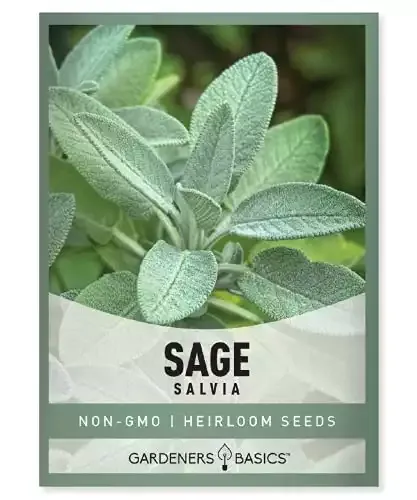 Herloom Sage Seeds | Gardeners Basics