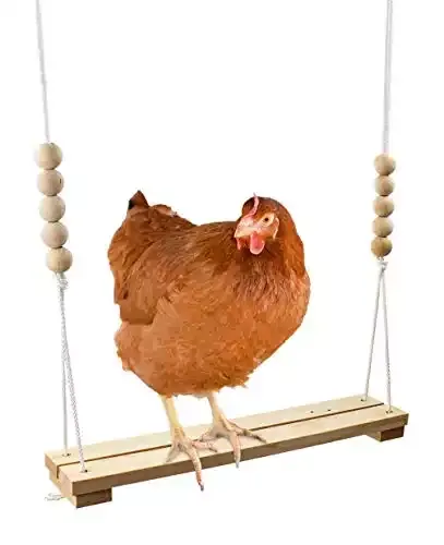 Hand Crafted Wooden Chicken Coop Swing!