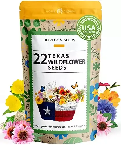 12 Delightful Flowering Shrubs for Texas - Outdoor Happens