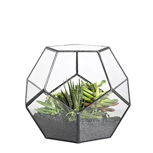Black Geometric Glass Terrarium Planter | NCYP