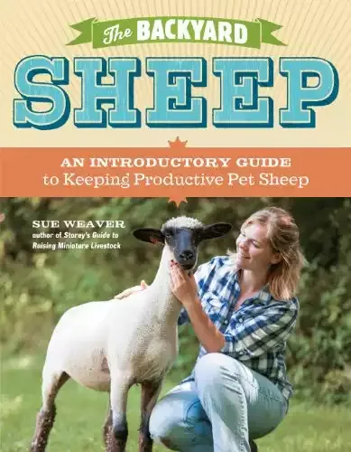The Backyard Sheep | Sue Weaver