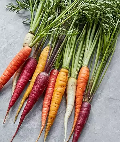 Rainbow Kaleidoscope Blend Carrot Seeds | Burpee