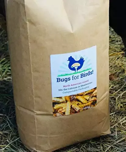Dried BSF Larvae - Natural Chicken Feed Supplement | Bugs for Birds