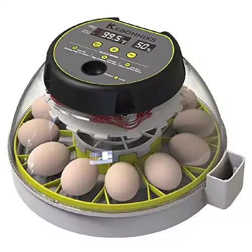 Kebonnixs 12 Egg Incubator With Humidity Display, Egg Candler, and Automatic Turner
