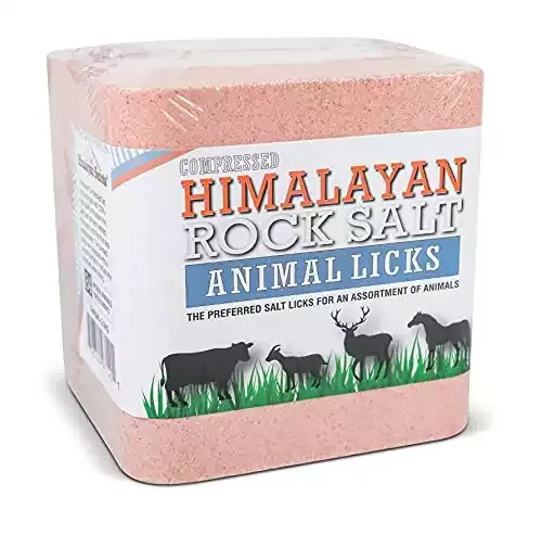 100% Pure Compressed Himalayan Salt Lick