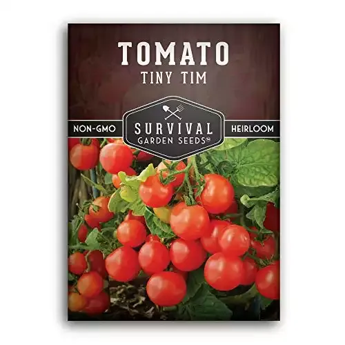 Tiny Tim Tomato Seeds for Planting | Survival Garden Seeds -