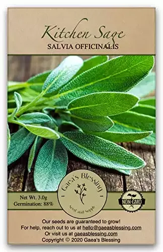 Sage Seeds | Gaea's Blessing Seeds