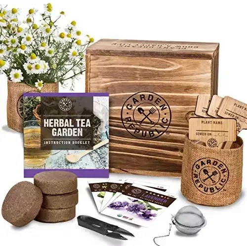 Indoor Herbal Tea Growing Kit - Lavender, Chamomile, Lemon Balm, and Mint