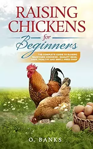 Raising Chickens for Beginners - The Complete Guide To Raising Backyard Chickens