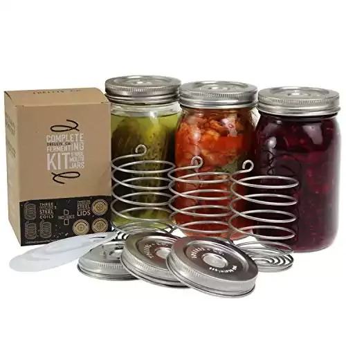 Trellis + Co. Stainless Steel Fermentation Jar Kit | 3 Waterless Fermenter Airlock Lids & 3 Pickle Helix Fermentation Weights, For Wide Mouth Mason Jars | Recipe eBook Included With Fermenting Kit