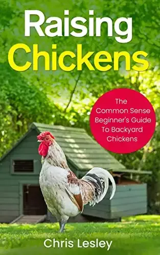 Raising Chickens - The Common Sense Beginner's Guide