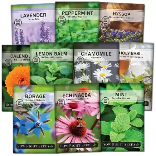 Large Herbal Tea Garden Seed Collection | Sow Right Seeds