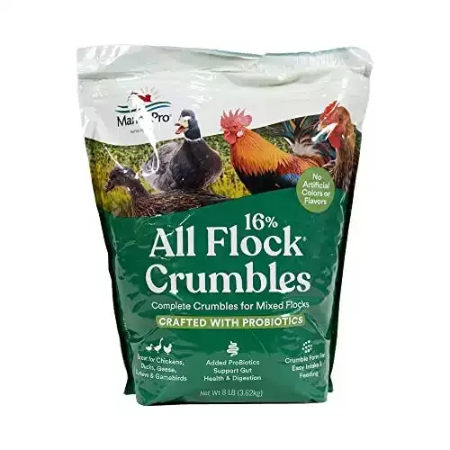 Manna Pro All Flock Crumbles | Complete Feed for Chickens, Ducks, Geese, and Turkeys