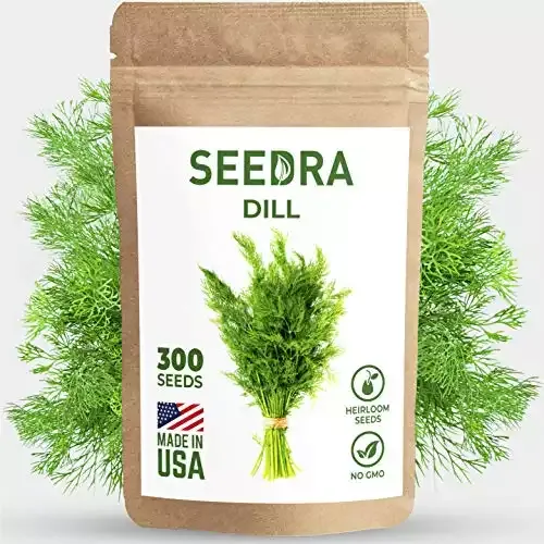 300 Dill Seeds for Outdoor or Indoor Planting | Seedra
