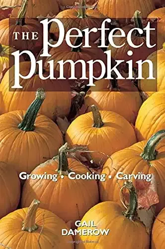 How to Grow, Cook, and Carve the Perfect Pumpkin