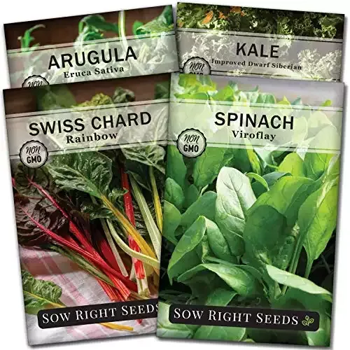 Sow Right Seeds - Arugula, Spinach, Kale, and Rainbow Chard