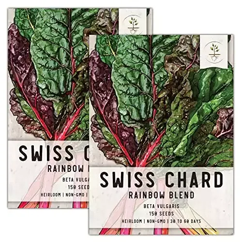 Seed Needs, Rainbow Swiss Chard Twin Pack - 150 Seeds Each