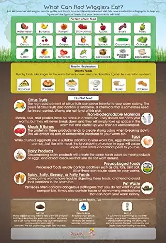“What Can Red Wigglers Eat?” Infographic Refrigerator Magnet
