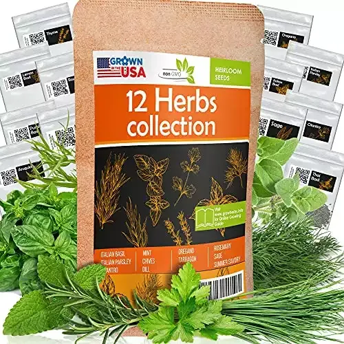 12 Culinary Herb Seeds Pack | MadayFormula