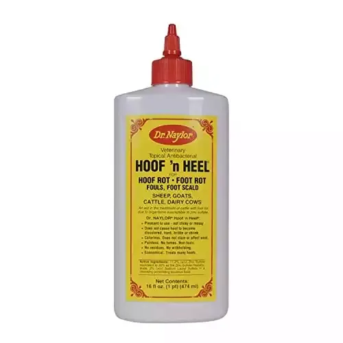 Dr. Naylor Hoof 'N Heal, Hoof Rot Foot Rot Wound Care, 16oz, Sheep Goat Cow Horse, 1-pack