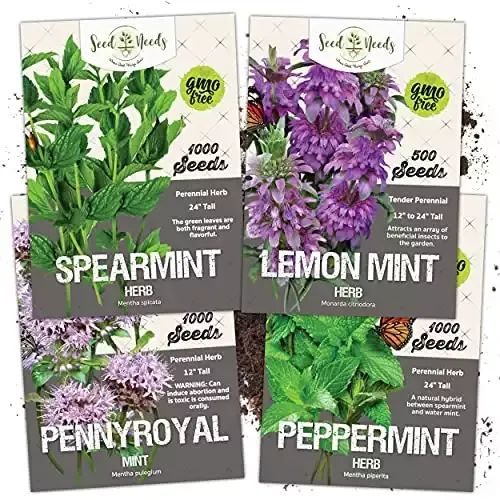 Mint Seed Collection | Seed Needs