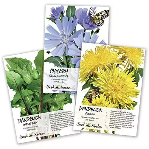 Seed Needs, Dandelion Seed Collection (3 Individual Packets) Non-GMO