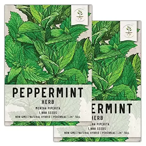 Peppermint Herb Mint Seeds (Mentha Piperita) | Seed Needs