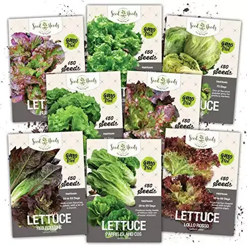 Lettuce Lovers Seed Packet Collection | Seed Needs