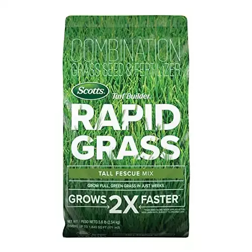 Amazon.com : fescue grass seed