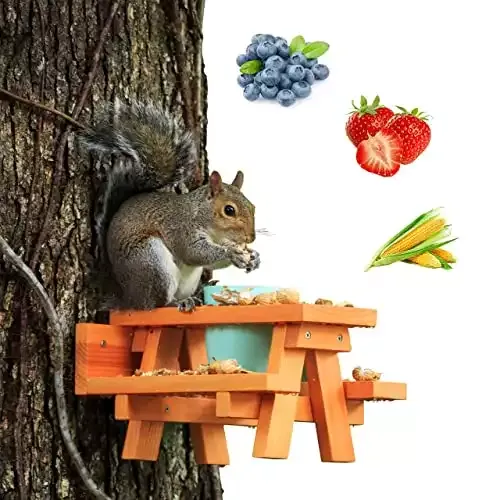 Enclave Woods Large Squirrel Feeder - Spacious Removable Cup - Safe for Squirrels - Customizable Food Options - Nuts, Berries, Fruits - Funny Gift