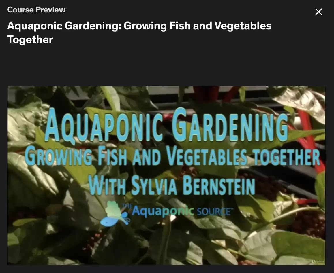 Aquaponic Gardening: Growing Fish and Vegetables Together