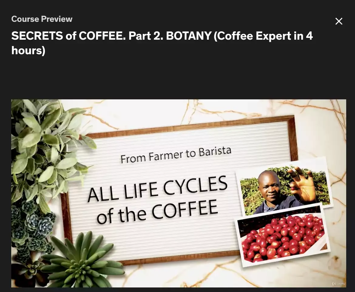 Secrets of Coffee. Part 2. Botany