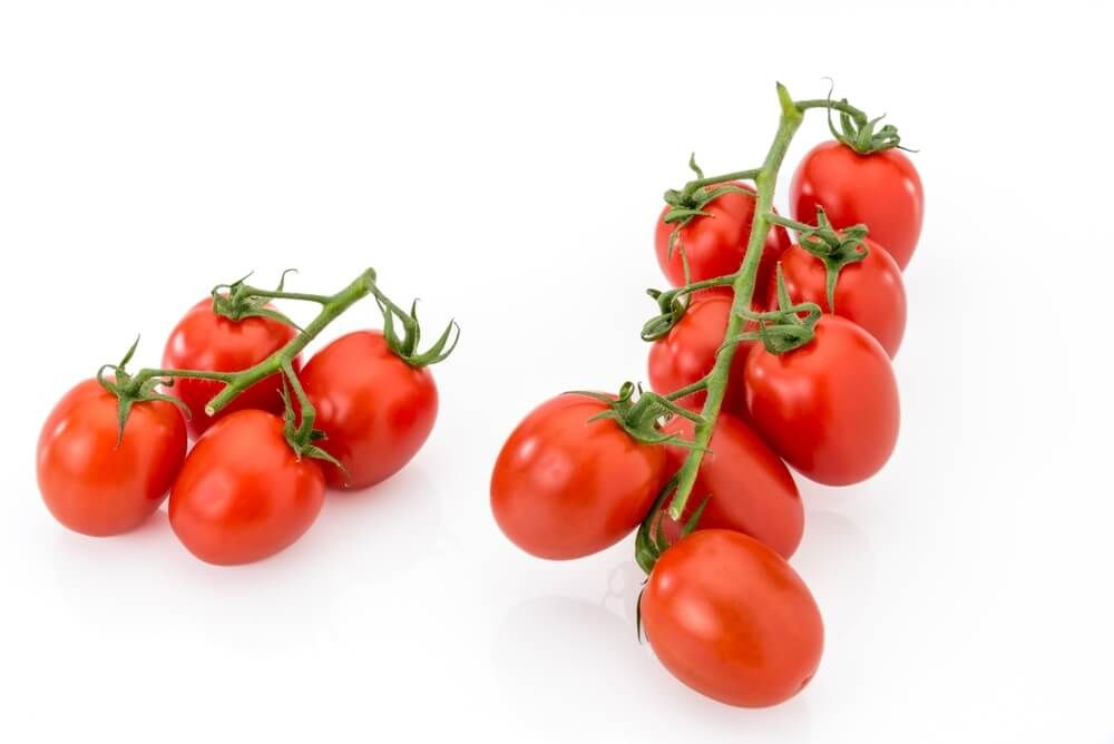 isolated datterino cherry tomatoes