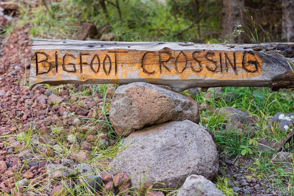 Bigfoot crossing sign - Things to make out of logs and branches