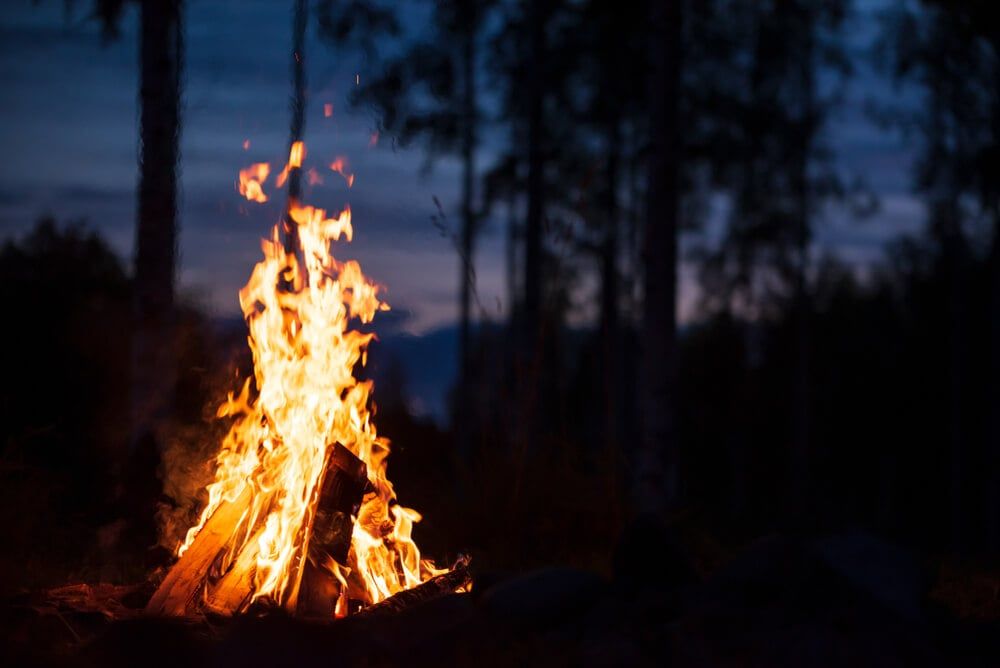 roaring campfire in the middle of a dark forest