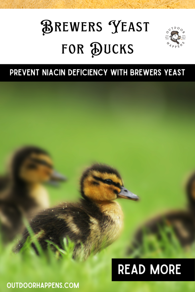 Brewers Yeast for Ducks