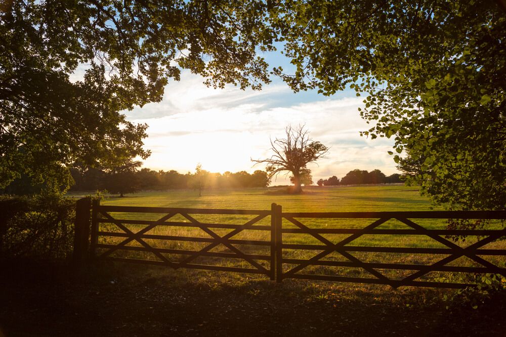 beautiful rural farm gate in english field at sunset - a lovely example of how to build a fence gate that won't sag