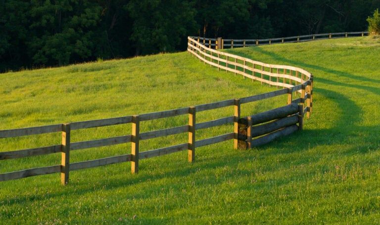 The 5+ Easiest Fences to Install Yourself [Without a Big Budget]