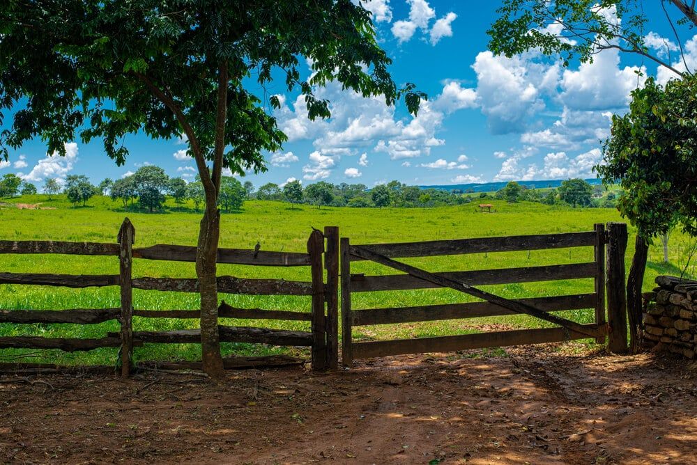 wooden fence and rustic looking farm gate