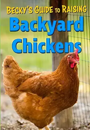 Becky’s Guide To Raising Backyard Chickens | Becky’s Homestead