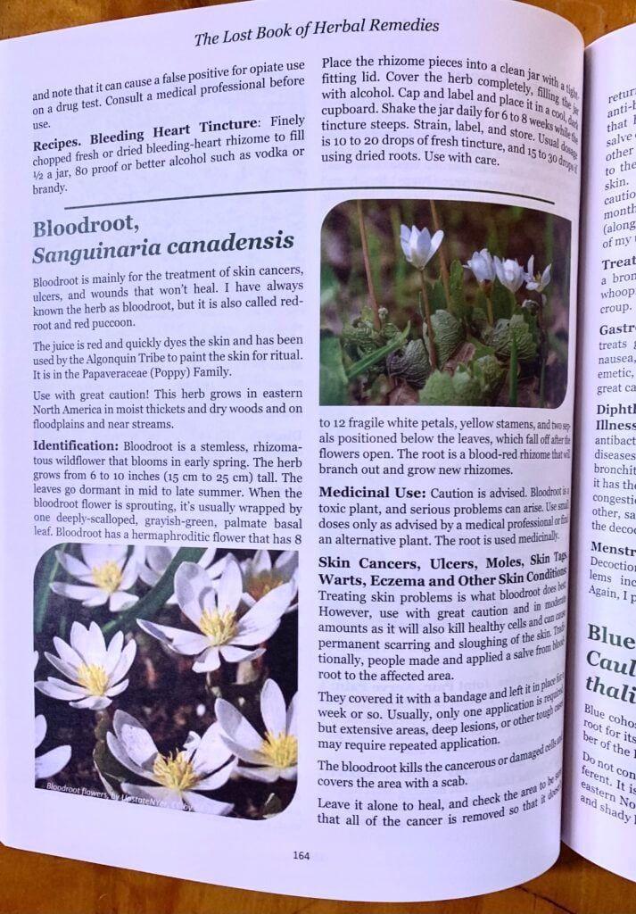 bloodroot-plant-pictures in the lost book of herbal remedies